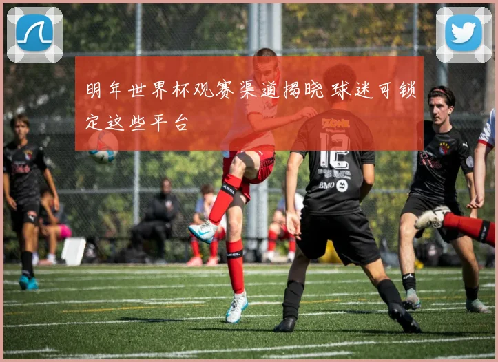 明年世界杯观赛渠道揭晓 球迷可锁定这些平台